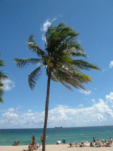 Seaside Motel Fort Lauderdale Zewnętrze zdjęcie